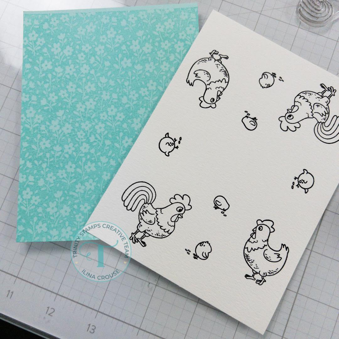Lottie Murphy Geburtstagskarte „Happy Birthday Spring Chicken!“ – Lustige Karte Für Ihn & Sie – Mit Umschlag